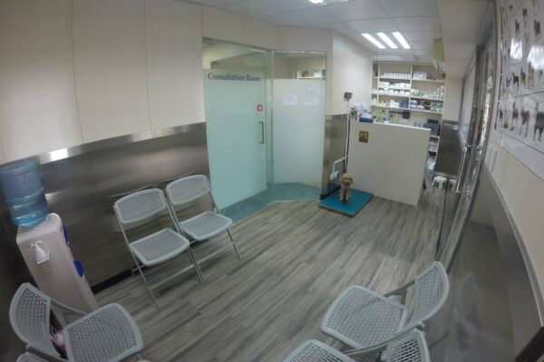 11999050_139478483067394_7287064678357139514_n