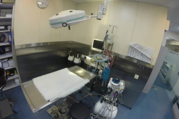 12043056_139478309734078_8002902468443672484_n