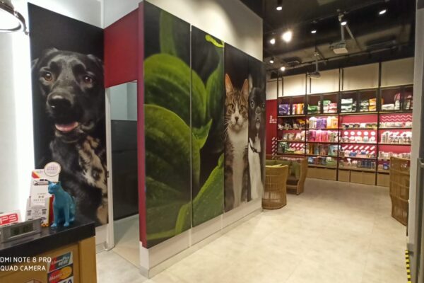 18edf719-eecf-4a77-a705-f172552db6d9