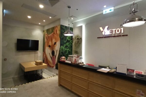 7727f551-ce02-411d-8067-8566148bc43b