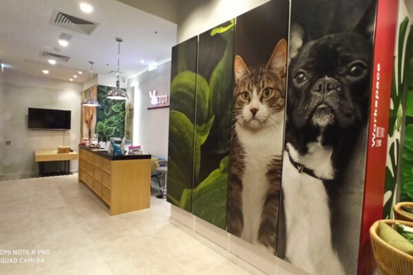 7c4a62e8-1e33-487f-a3d0-a8dc6cc40459