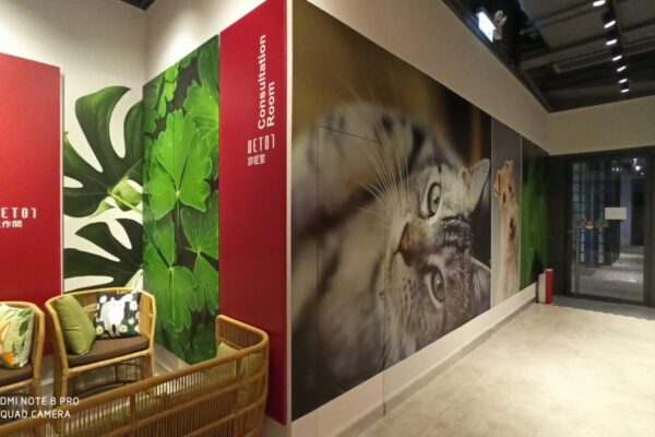 c6305b58-3999-4a1f-8546-15a1d3a1251f